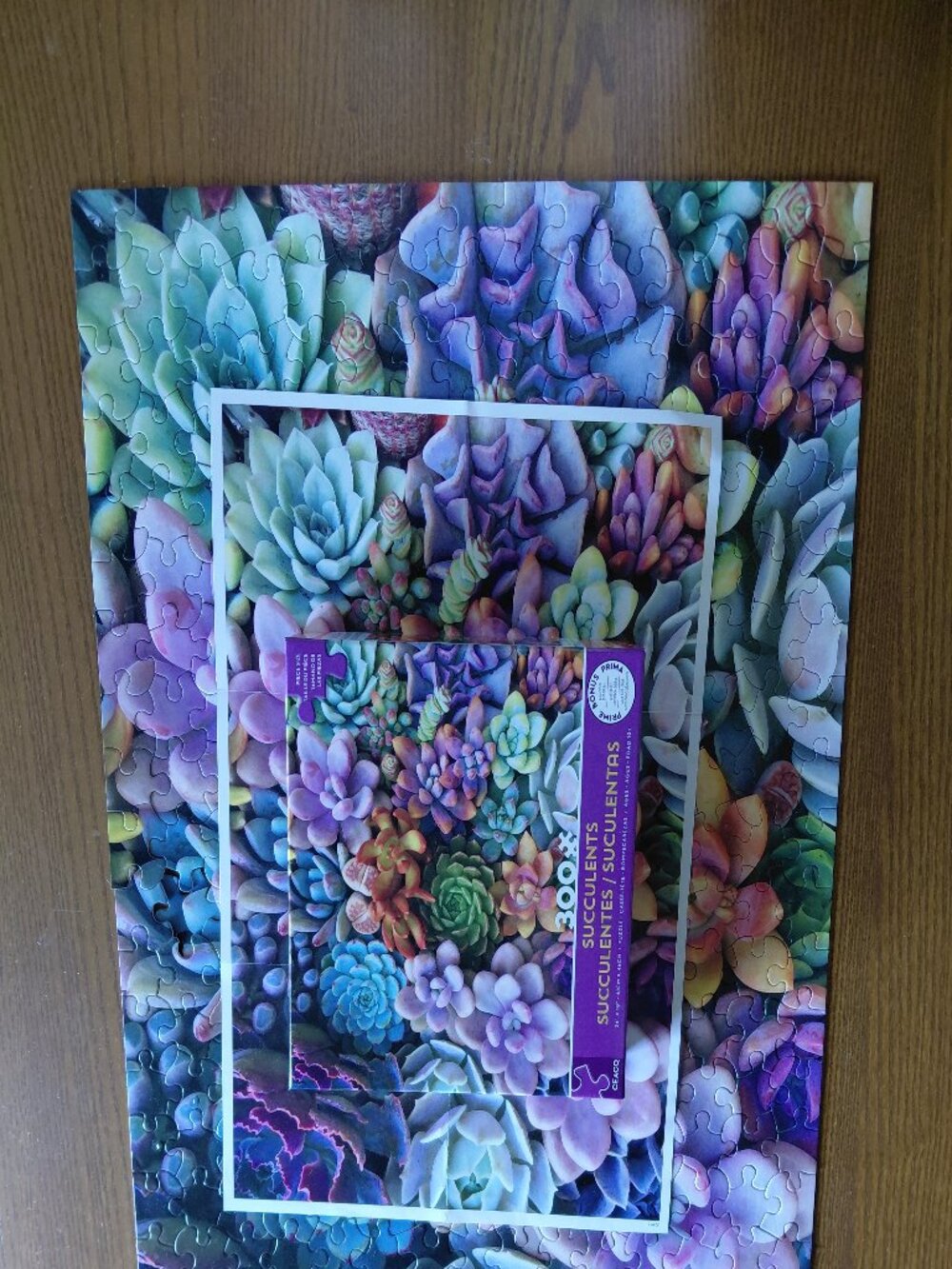 Peacock Succulents 300pc Puzzle